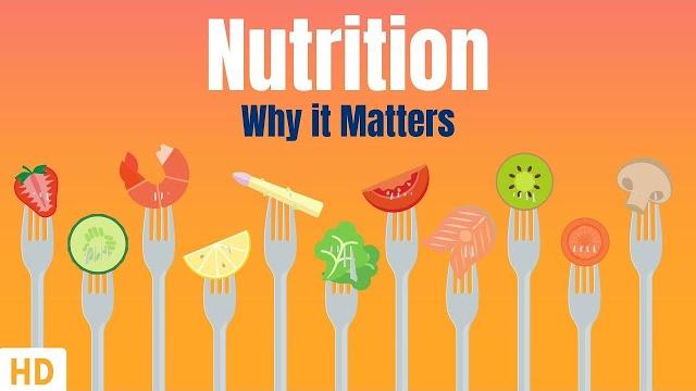 Nutrition and why it matters Nutrition and why it matters