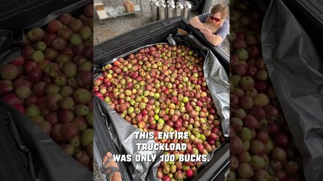 How to make hard cider How to make hard cider