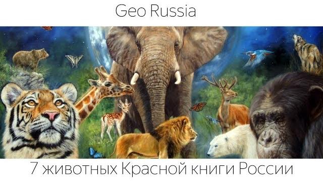 Животные красной книги россии Животные красной книги россии