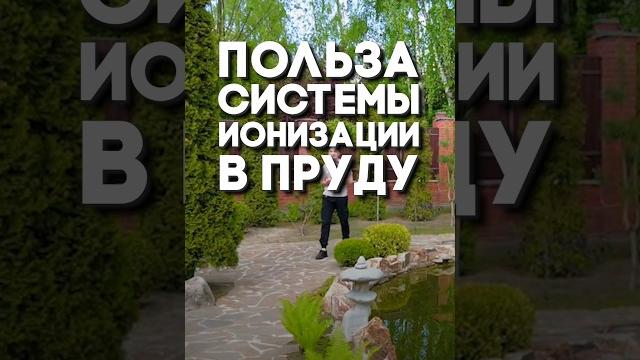 В чем польза системы ионизации в пруду? В чем польза системы ионизации в пруду?