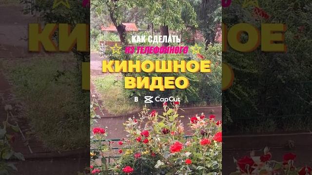 Как превратить телефонное видео в киношное? Как превратить телефонное видео в киношное?