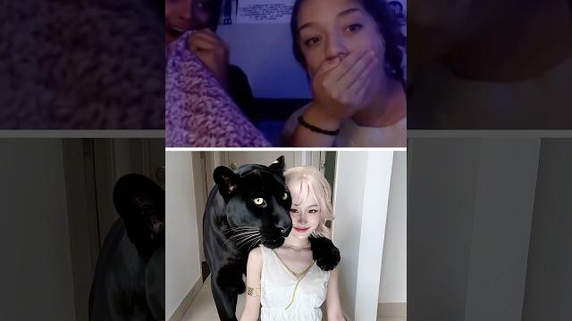 What kind of cat is that? | chang dory | omegle What kind of cat is that? | chang dory | omegle