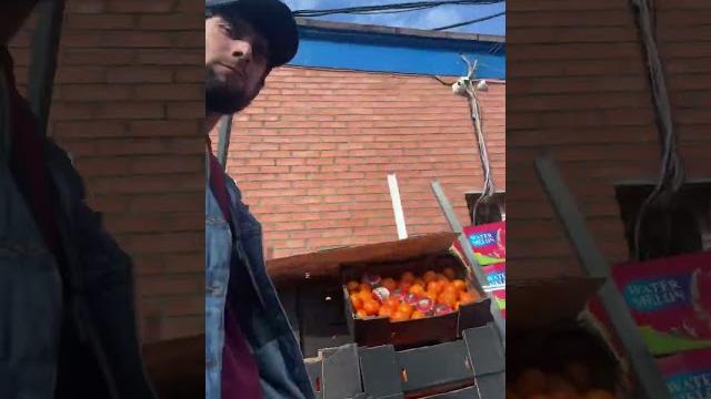 Софийский база Софийский база
