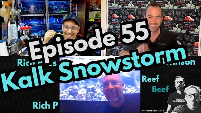 Kalk snowstorm - episode 55 - reef beef podcast Kalk snowstorm - episode 55 - reef beef podcast