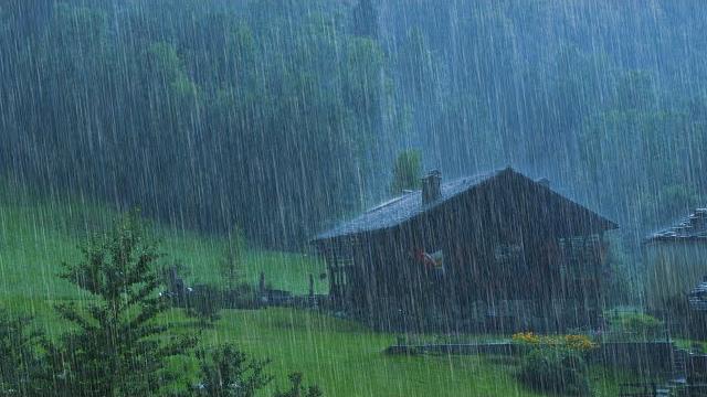 Rain sounds for sleeping - sound of heavy rainstorm & thunder in the misty forest at night Rain sounds for sleeping - sound of heavy rainstorm & thunder in the misty forest at night