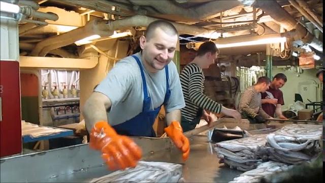 Работа в море в цеху Работа в море в цеху