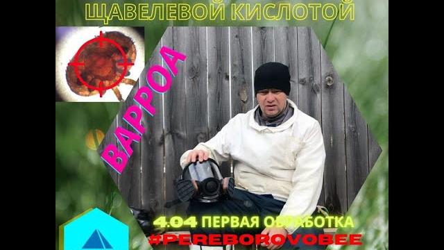 Весенняя обработка пчёл #pereborovobee от #варроа клеща щавелевой кислотой. #пчеловодство #пасека Весенняя обработка пчёл #pereborovobee от #варроа клеща щавелевой кислотой. #пчеловодство #пасека