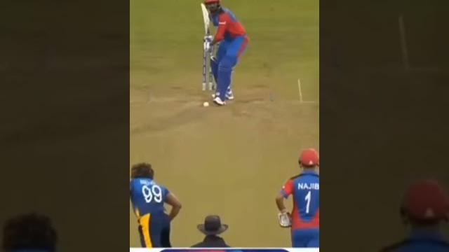 Malinga #swing #yorker Malinga #swing #yorker