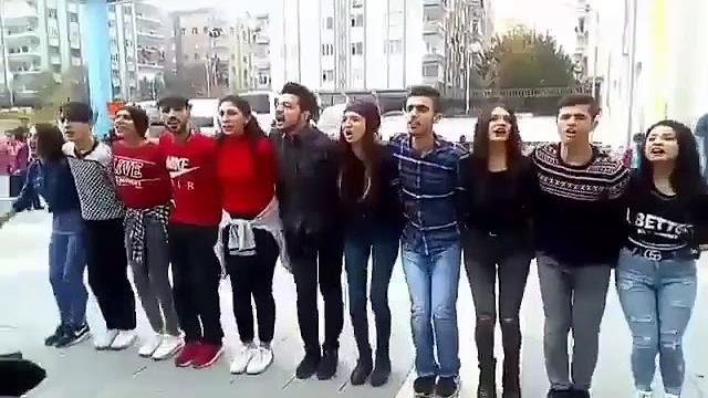 Mükkemel halay hawar güle Mükkemel halay hawar güle
