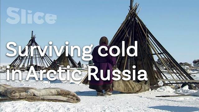 Building a chum with siberia’s nenets nomads | slice Building a chum with siberia’s nenets nomads | slice