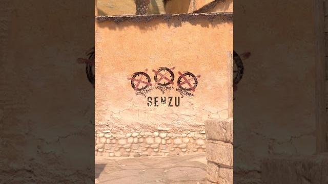 Senzu graffiti Senzu graffiti