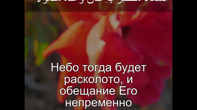 Сура аль муззаммил |73:19 |чтение корана с русским переводом| quran translation surah al muzzammil Сура аль муззаммил |73:19 |чтение корана с русским переводом| quran translation surah al muzzammil