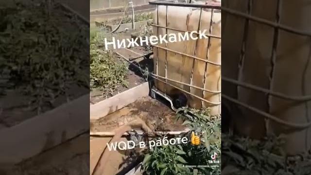 Буровой насос фекальный wqd valera Буровой насос фекальный wqd valera