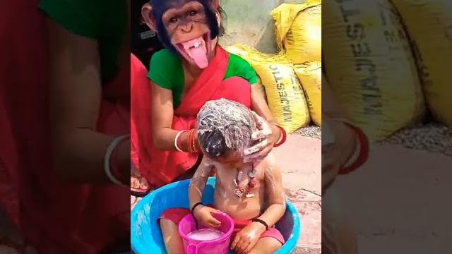 Lakdi ki kathi Lakdi ki kathi