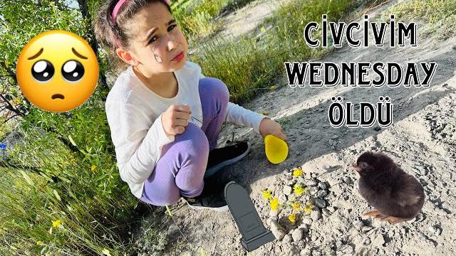 Eli̇f çok üzgün ci̇vci̇vi̇ wednesday ölmüş !! Eli̇f çok üzgün ci̇vci̇vi̇ wednesday ölmüş !!