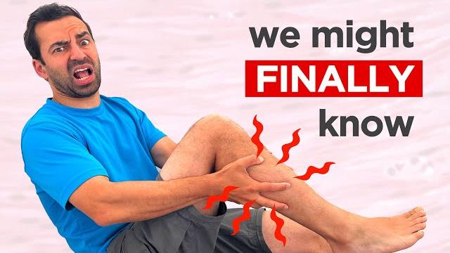 What actually are muscle cramps? What actually are muscle cramps?