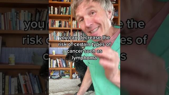 Dog spay and neuter controversy Dog spay and neuter controversy