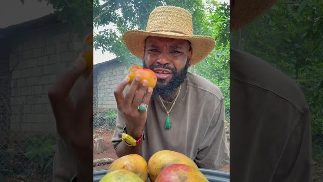 Breaking fast with julie mangoes in with @kyngsharlo learning a lot today gratitude for this trip Breaking fast with julie mangoes in with @kyngsharlo learning a lot today gratitude for this trip