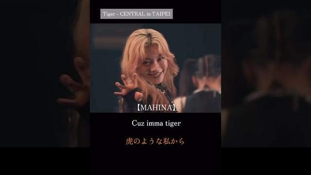 Mahina 【tiger - central in taipei】 #hana #mahina #shorts Mahina 【tiger - central in taipei】 #hana #mahina #shorts