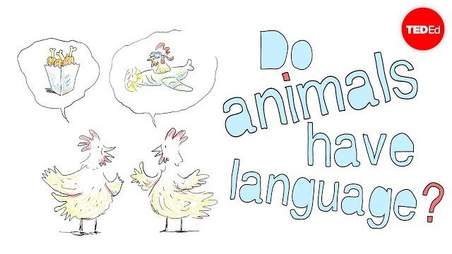 Do animals have language? - michele bishop Do animals have language? - michele bishop