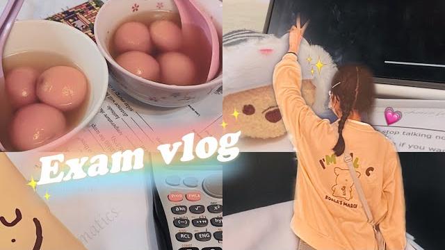 Exam vlog l 香港初中生考試周日常(。・‧̫・。)o🪄 Exam vlog l 香港初中生考試周日常(。・‧̫・。)o🪄