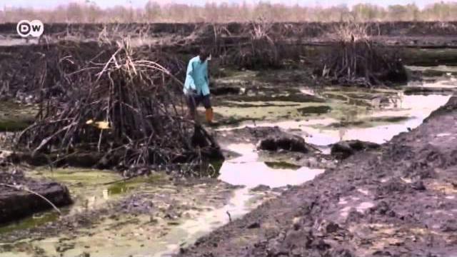 Nigeria: oil pollution in the niger delta | global 3000 Nigeria: oil pollution in the niger delta | global 3000