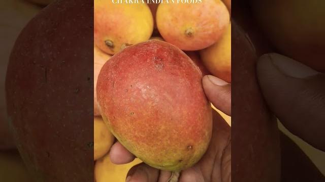 #mango #trending #trendingshorts #shorts #short #shortvideo #shortsfeed #shortsvideo #sub #support #mango #trending #trendingshorts #shorts #short #shortvideo #shortsfeed #shortsvideo #sub #support
