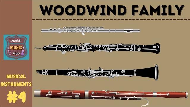 Woodwind family | instruments of the orchestra | lesson #4 | learning music hub | orchestra Woodwind family | instruments of the orchestra | lesson #4 | learning music hub | orchestra