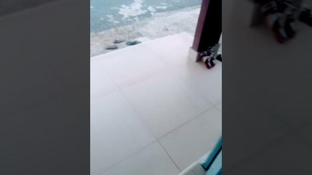 Bocil ngen Bocil ngen