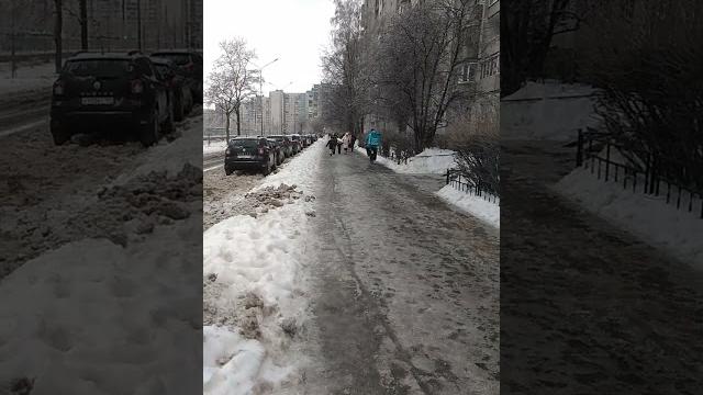 Васька Васька