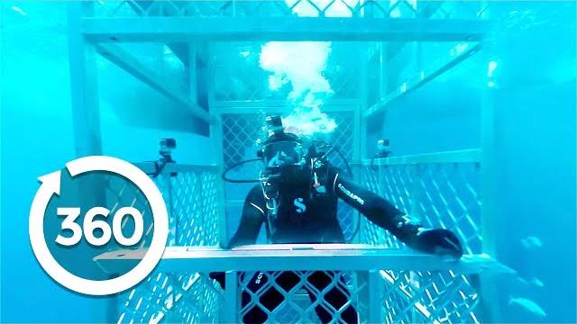 Isle of jaws (360 video) Isle of jaws (360 video)