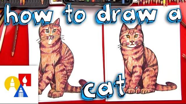 How to draw a realistic cat How to draw a realistic cat