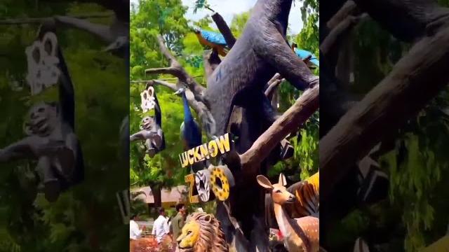 लखनऊ चिड़ियाघर lucknow zoo lucknow ka chidiya ghar लखनऊ चिड़ियाघर lucknow zoo lucknow ka chidiya ghar