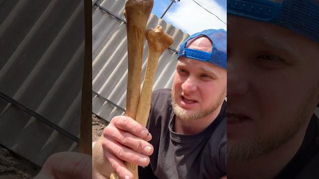 Бабушкин огород (смешное видео, приколы, юмор, поржать, прикол) Бабушкин огород (смешное видео, приколы, юмор, поржать, прикол)