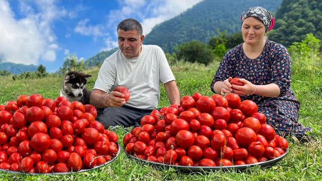 Tomatoes for the winter and beans for the holiday! homemade recipe from the villagers Tomatoes for the winter and beans for the holiday! homemade recipe from the villagers