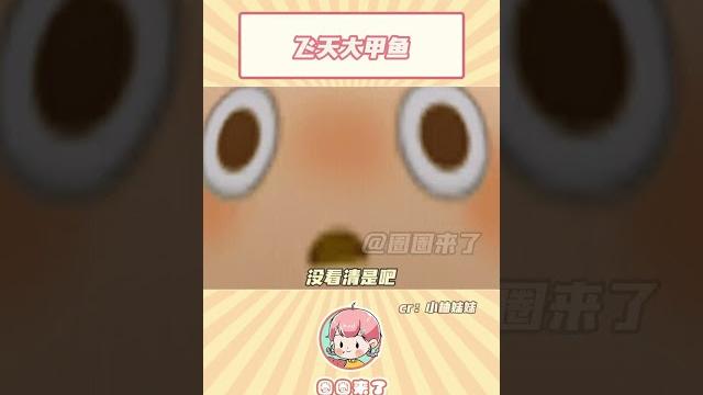 龟兔赛跑 兔子就是这么输的吧#搞笑#神奇动物在抖音#shorts 龟兔赛跑 兔子就是这么输的吧#搞笑#神奇动物在抖音#shorts