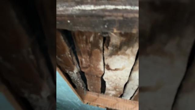 Автосервис в гараже Автосервис в гараже