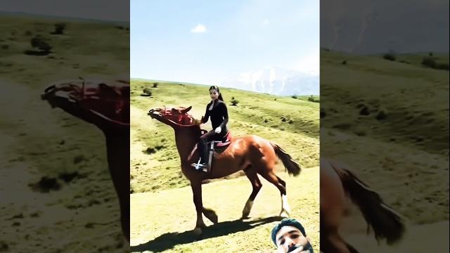 Red horse riding training zuljinah horse #horse #equestrian #horseridingschool #sterstallion Red horse riding training zuljinah horse #horse #equestrian #horseridingschool #sterstallion