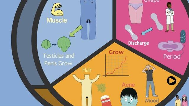 Introduction puberty Introduction puberty