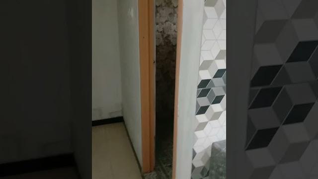 Ngintip cewek mandi Ngintip cewek mandi