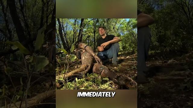 Can a tree act like a slingshot? Can a tree act like a slingshot?