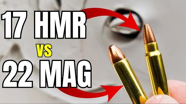 17hmr vs 22mag: never would've guessed 17hmr vs 22mag: never would've guessed