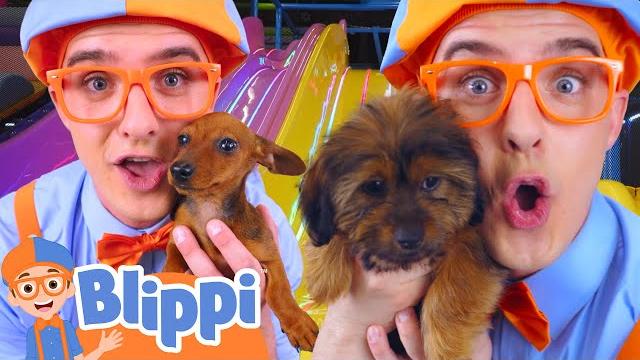 Blippi got a puppy! how should we call it? | blippi | educational kids videos | moonbug kids Blippi got a puppy! how should we call it? | blippi | educational kids videos | moonbug kids