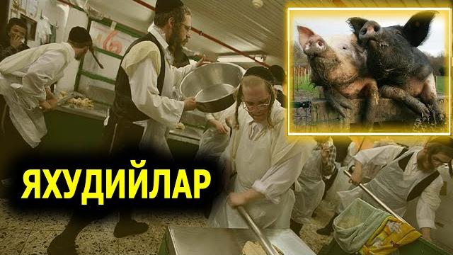Яхудийларни тунгизга айлантирилганини эшитганмисиз Яхудийларни тунгизга айлантирилганини эшитганмисиз