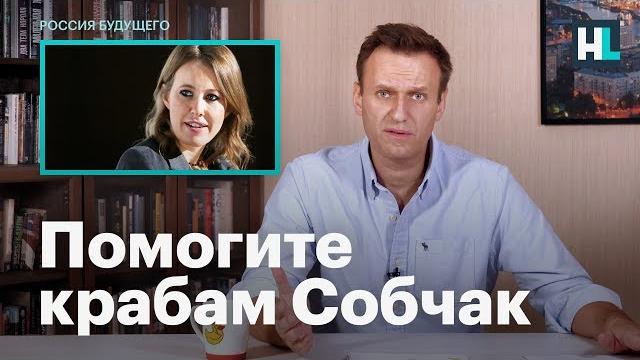 Навальный о крабовом бизнесе ксении собчак Навальный о крабовом бизнесе ксении собчак