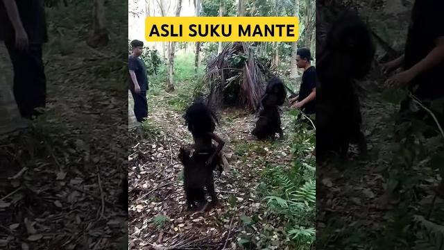 Sosok asli suku mante penghuni hutan kawasan Sosok asli suku mante penghuni hutan kawasan