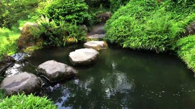 Японский сад! relaxing video & music. Японский сад! relaxing video & music.