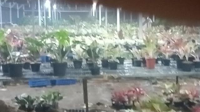 Stok terbaru,murah dan terkece Stok terbaru,murah dan terkece