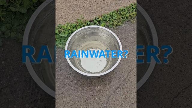 Cooking with rain water? food experiment ep.2 #cooking Cooking with rain water? food experiment ep.2 #cooking