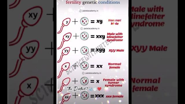 Genetic | spermatogenesis and oogenesis | fertilization #bsnl #bsn #mbbs #genetics #sperm #egg Genetic | spermatogenesis and oogenesis | fertilization #bsnl #bsn #mbbs #genetics #sperm #egg